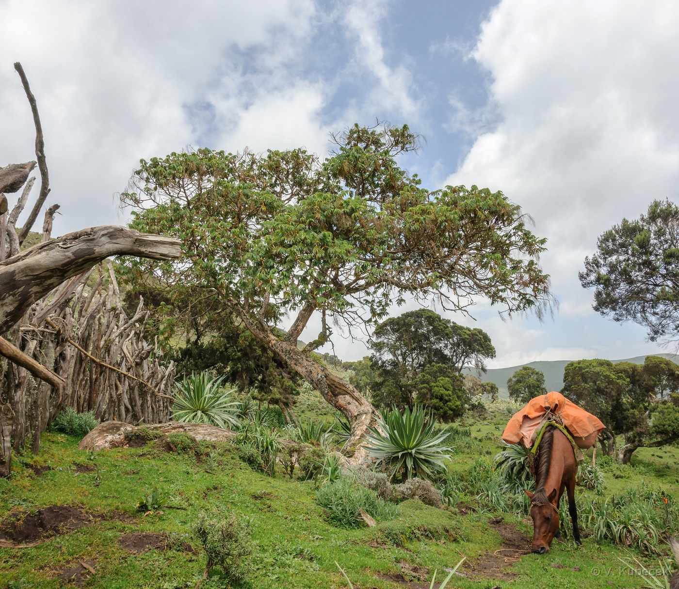 [Group 20]-DSC 7075 DSC 7076-2 images